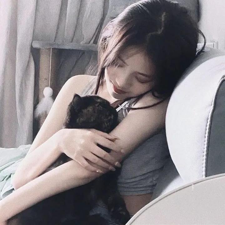 暗芝居第十五季